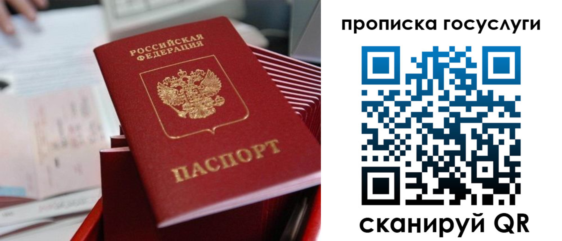 прописка законно в Торопеце